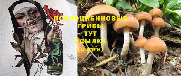гидра Киренск