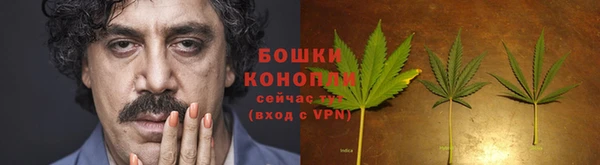 молекула духа Володарск