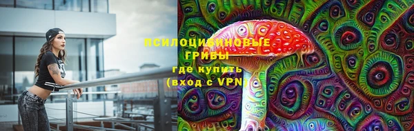 гашик Кинешма