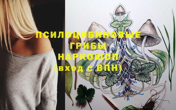 ПСИЛОЦИБИНОВЫЕ ГРИБЫ Киреевск