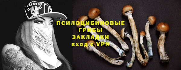гашик Кинешма